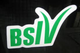 BS-IV: A sensational change in auto market